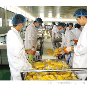 Ipari citrushámos gép citrusfeldolgozó vonal